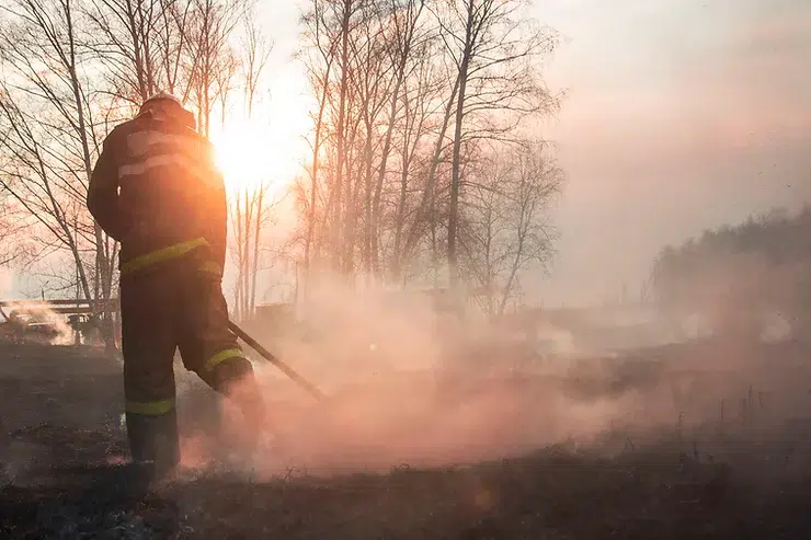 How To Rebuild Your Home After A Fire (Part 2)